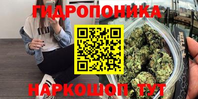 дмт Гагарин